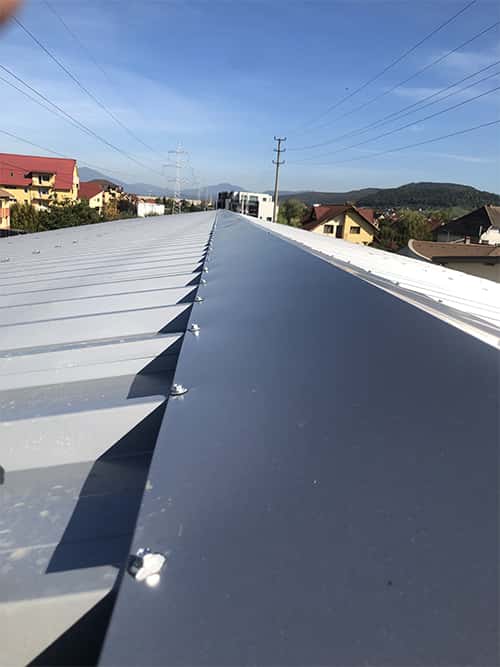 flashinguri portofoliu 4